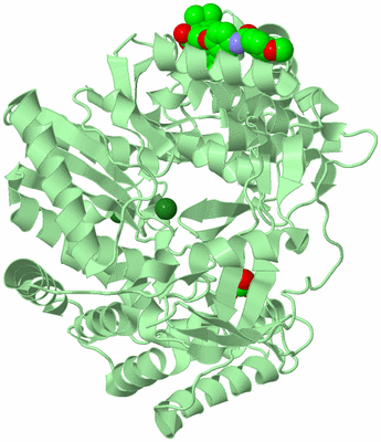 Image Biological Unit 2