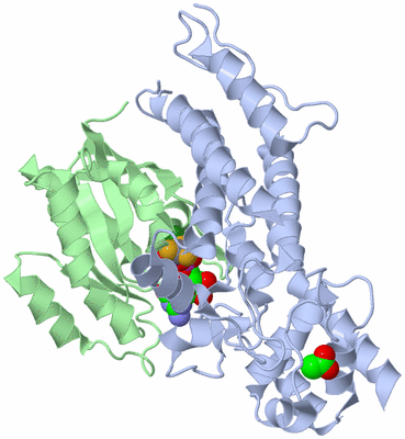 Image Asym./Biol. Unit