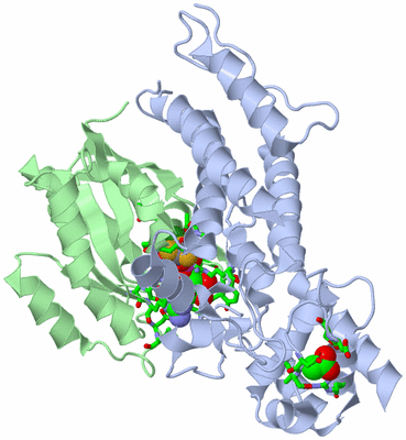 Image Asym./Biol. Unit - sites