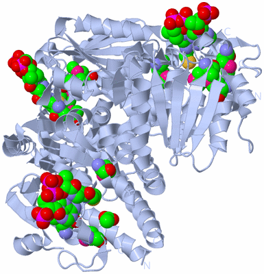 Image Biological Unit 1