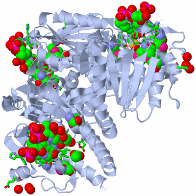 Image Biol. Unit 1 - sites