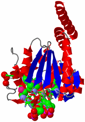 Image Asym. Unit - sites