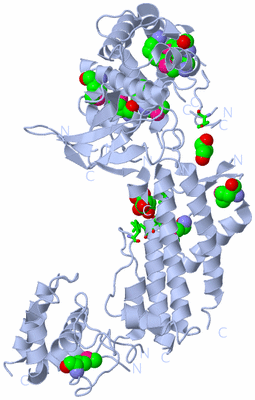 Image Biol. Unit 1 - sites