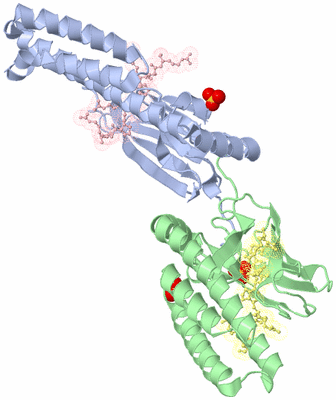 Image Biological Unit 3