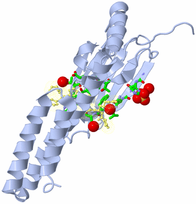 Image Biol. Unit 1 - sites