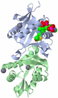 Image Asym./Biol. Unit