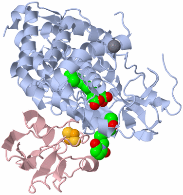 Image Biological Unit 1