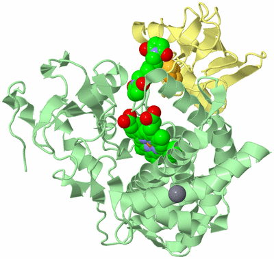 Image Biological Unit 2