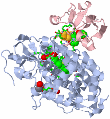 Image Biol. Unit 1 - sites