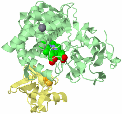 Image Biological Unit 2