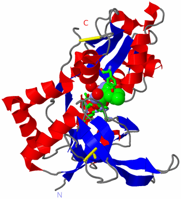 Image Asym. Unit - sites