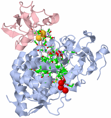 Image Biol. Unit 1 - sites