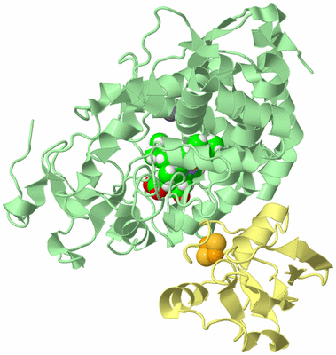 Image Biological Unit 2