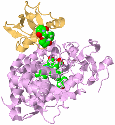 Image Biological Unit 3