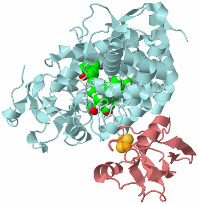 Image Biological Unit 4