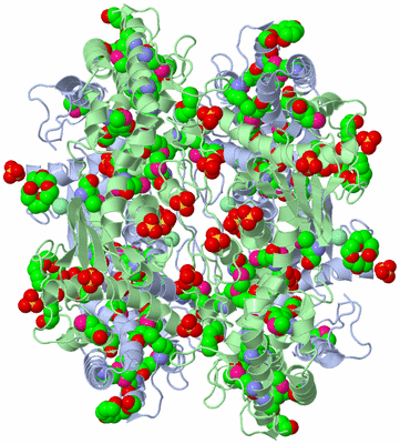 Image Biological Unit 2