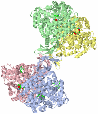 Image Biol. Unit 1 - sites