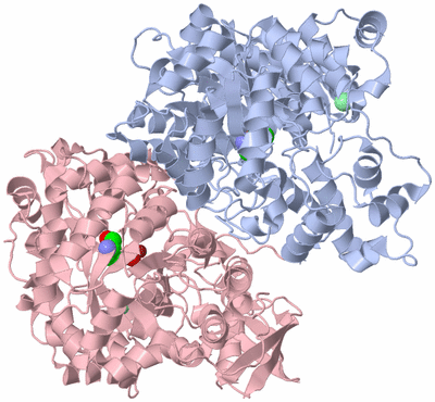 Image Biological Unit 2