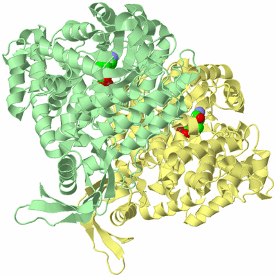 Image Biological Unit 3