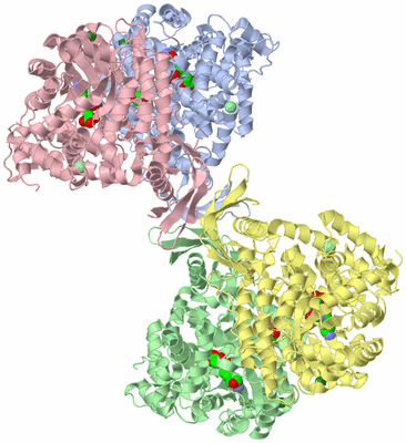 Image Biological Unit 1