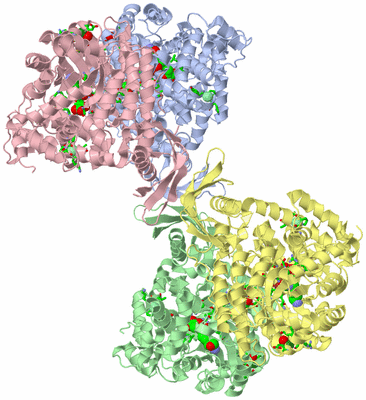 Image Biol. Unit 1 - sites