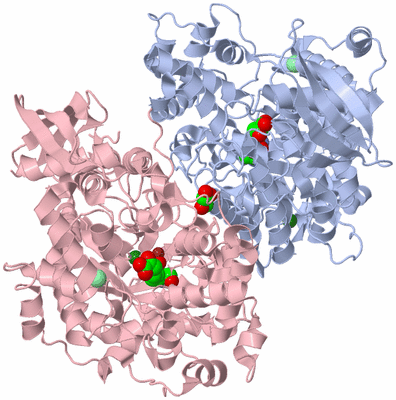 Image Biological Unit 2