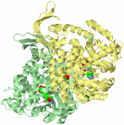 Image Biological Unit 3