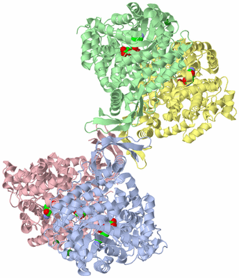 Image Biological Unit 1