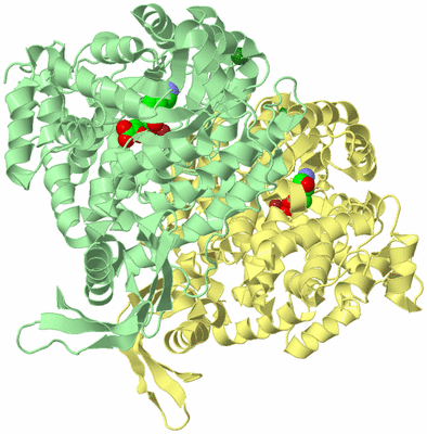 Image Biological Unit 3