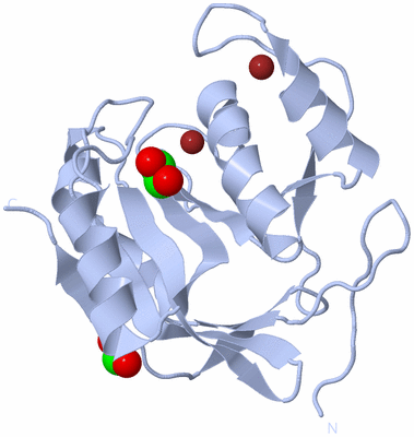 Image Biological Unit 1