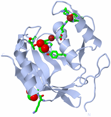 Image Biol. Unit 1 - sites