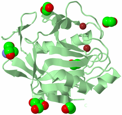 Image Biological Unit 2