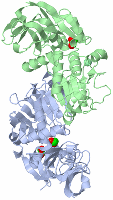 Image Asym./Biol. Unit