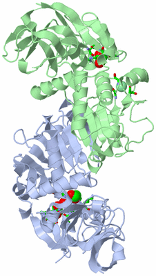 Image Asym./Biol. Unit - sites