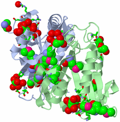 Image Biol. Unit 1 - sites