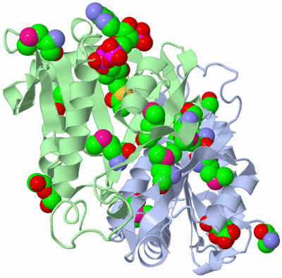 Image Asym./Biol. Unit