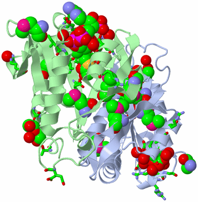 Image Asym./Biol. Unit - sites