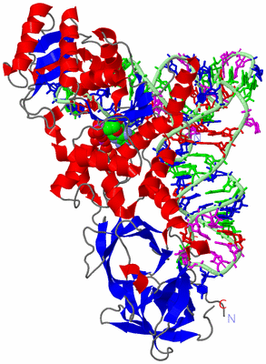 Image Asym./Biol. Unit