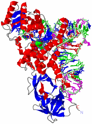 Image Asym./Biol. Unit