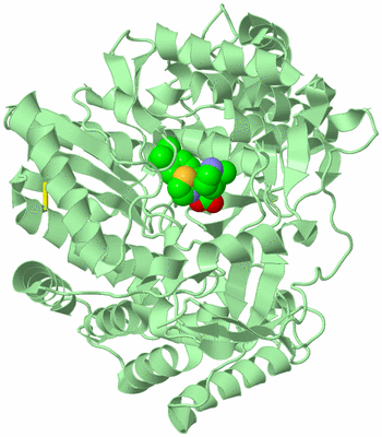 Image Biological Unit 2