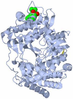 Image Biological Unit 1