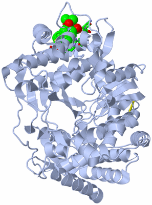 Image Biol. Unit 1 - sites