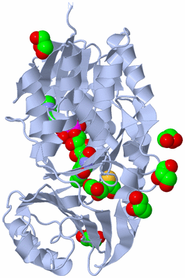 Image Biological Unit 1