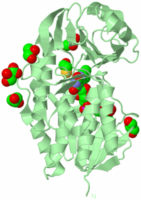 Image Biological Unit 2