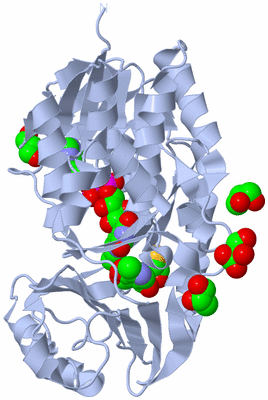 Image Biological Unit 1