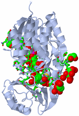 Image Biol. Unit 1 - sites