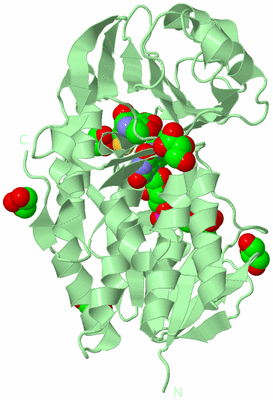 Image Biological Unit 2