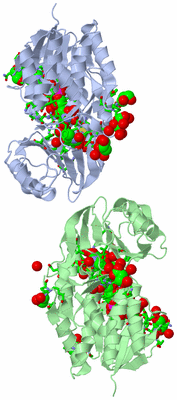 Image Asym. Unit - sites