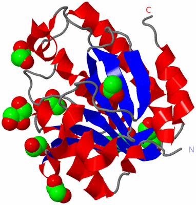 Image Asym./Biol. Unit