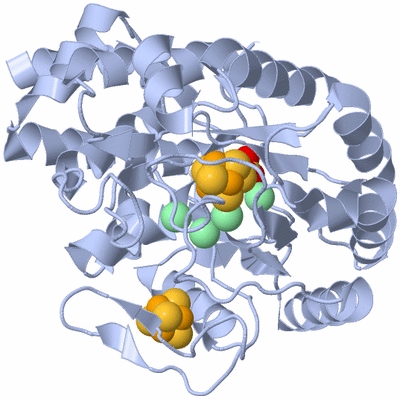 Image Biological Unit 1